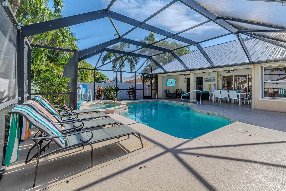 The Friendly Pelican